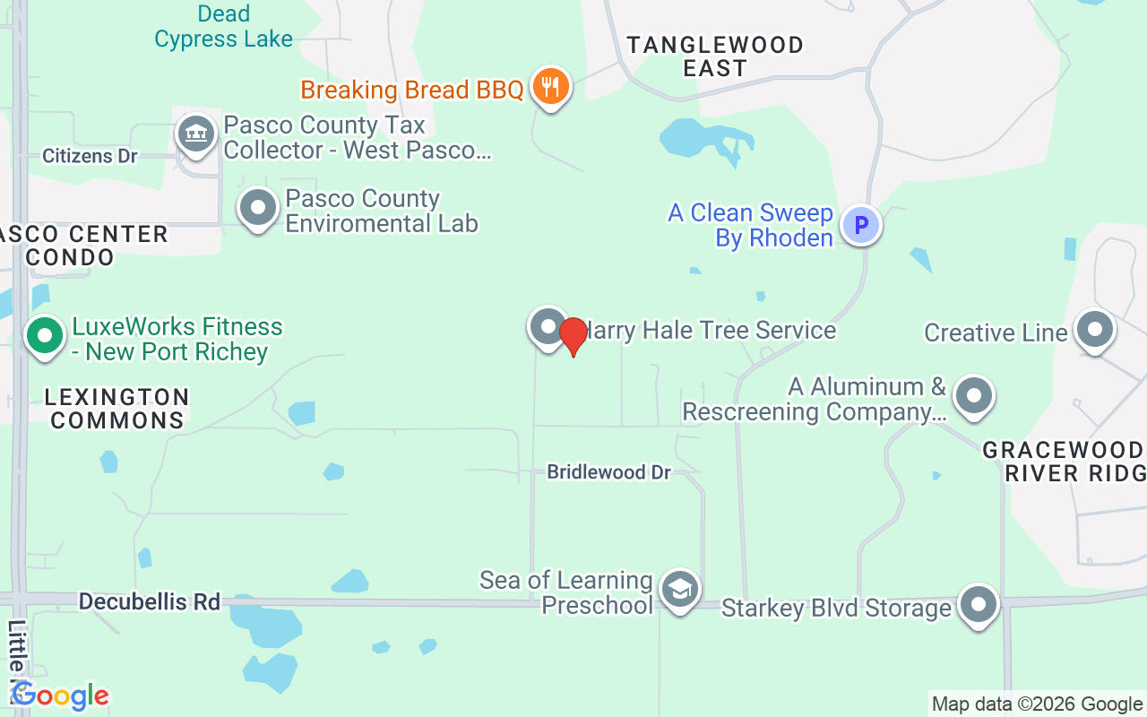 7230 Old Homestead Road, New Port Richey, FL 34654