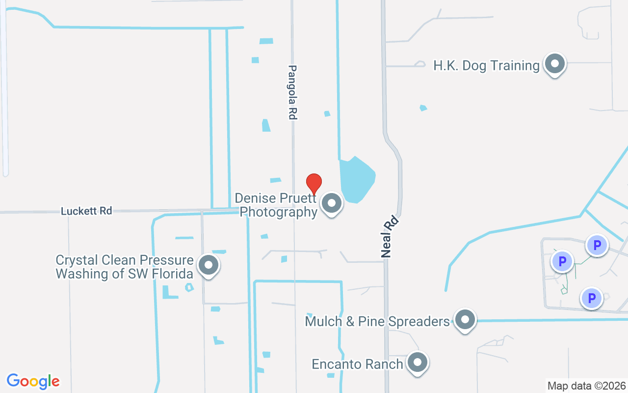 5961 Pangola Rd, Fort Myers, FL 33905