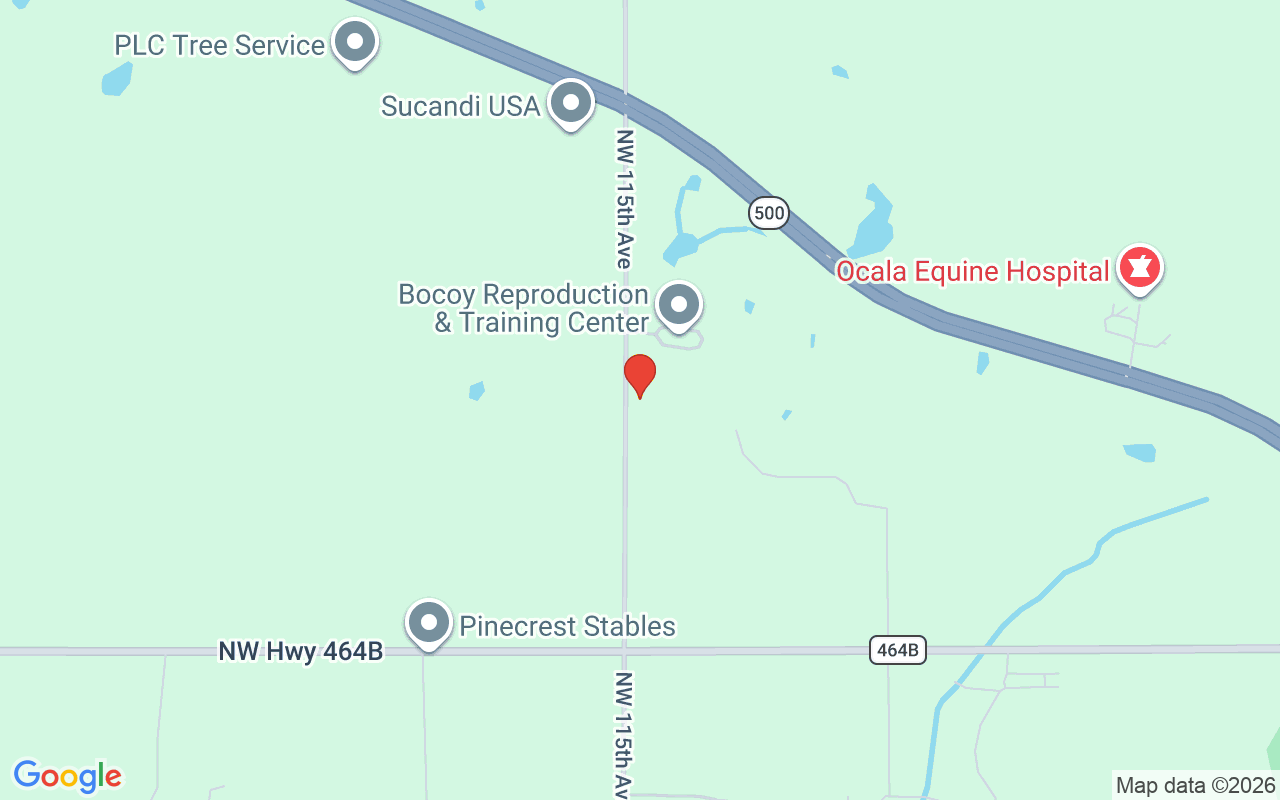 6025 115Th Avenue Nw, Ocala, FL 34482