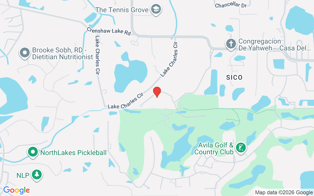 16911 Comunidad De Avila, Lutz, FL 33548