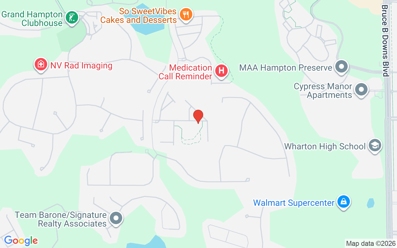 8547 Sandpiper Ridge Avenue, Tampa, FL 33647