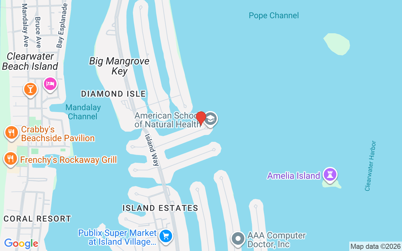 450 Palm Island, Clearwater Beach, FL 33767