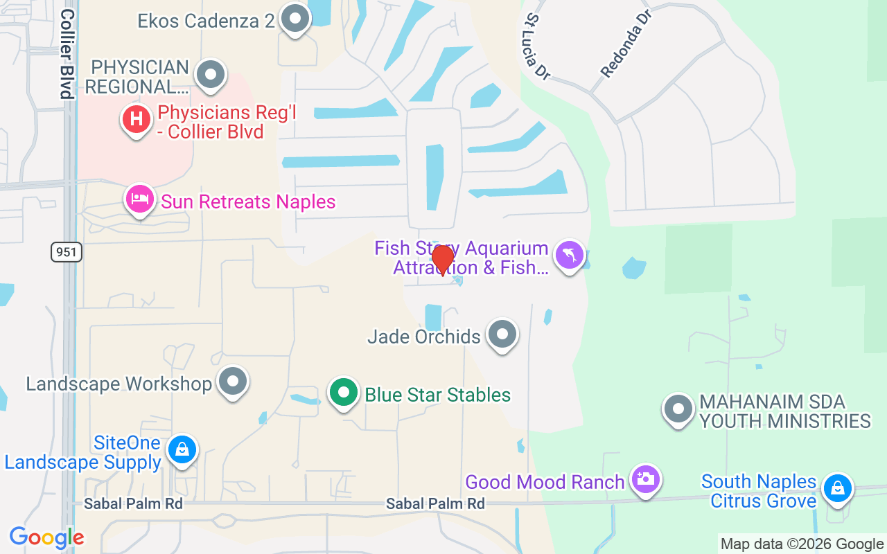 8025 Calle Canovas Ct, Naples, FL 34114