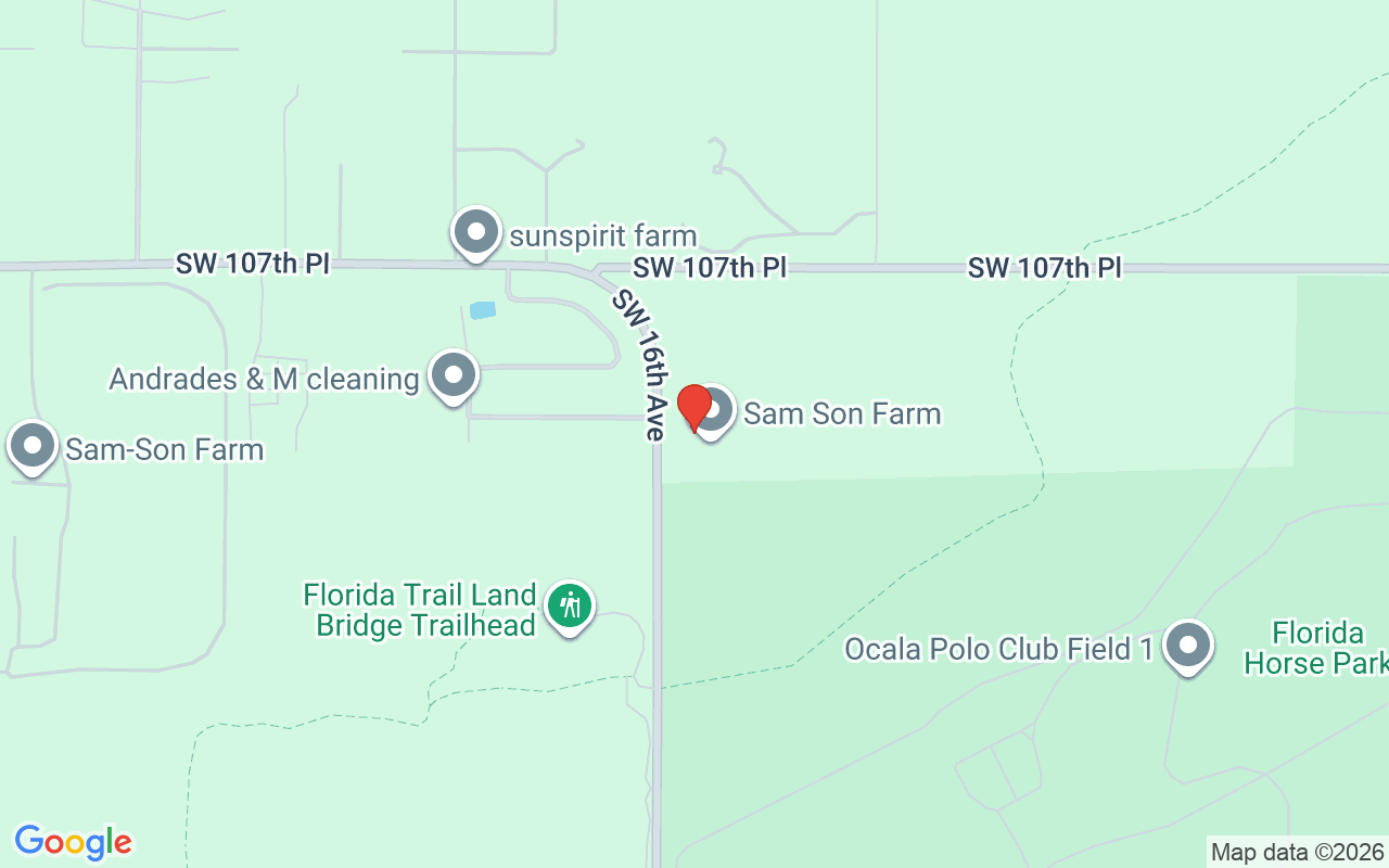 10925 16Th Avenue Sw, Ocala, FL 34476