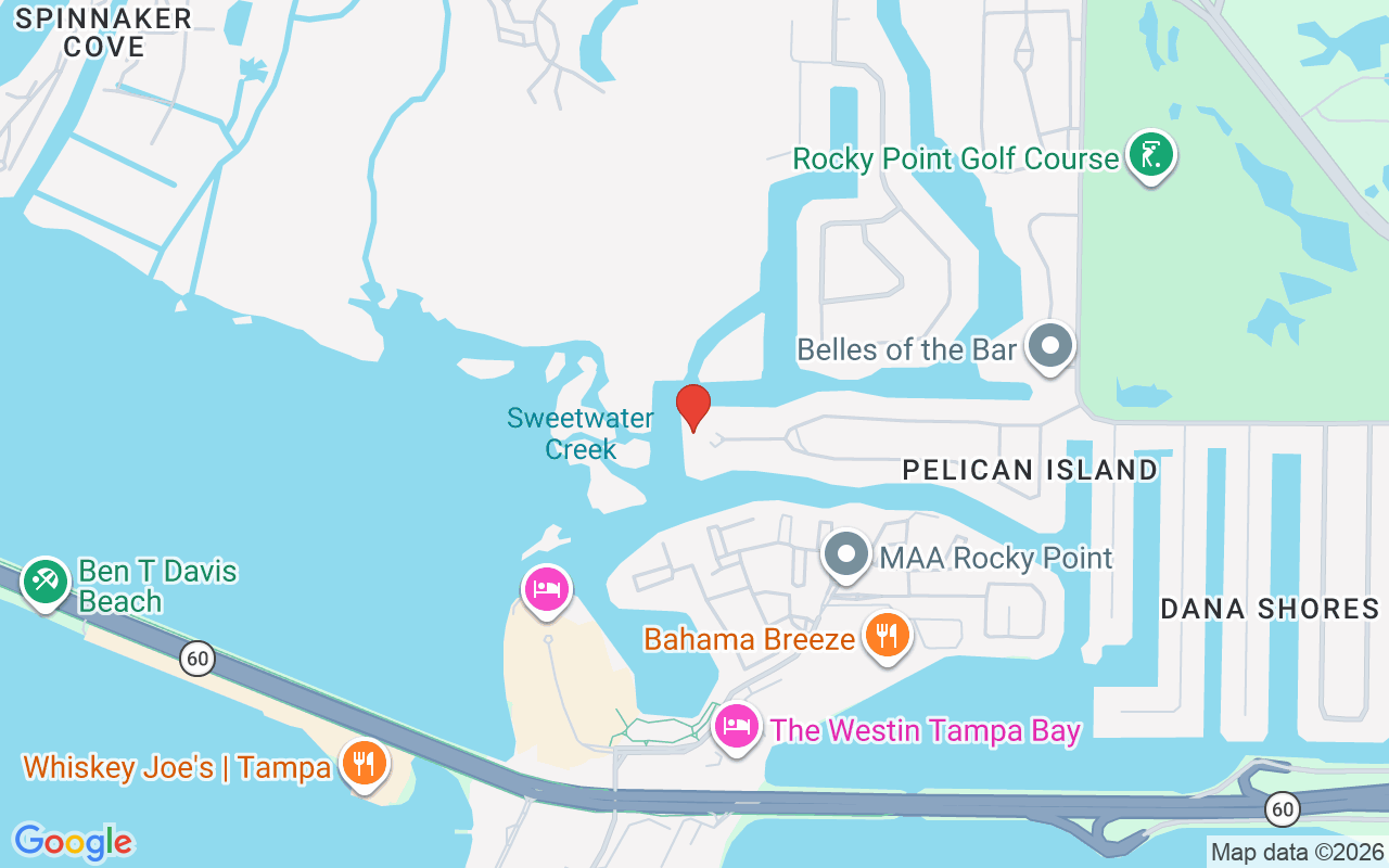 7313 Pelican Island Drive, Tampa, FL 33634