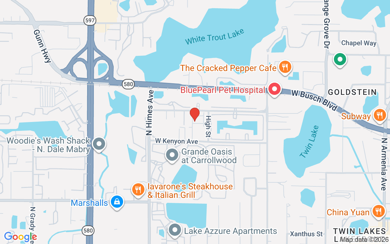 3469 Desert Trunk Court, Tampa, FL 33614