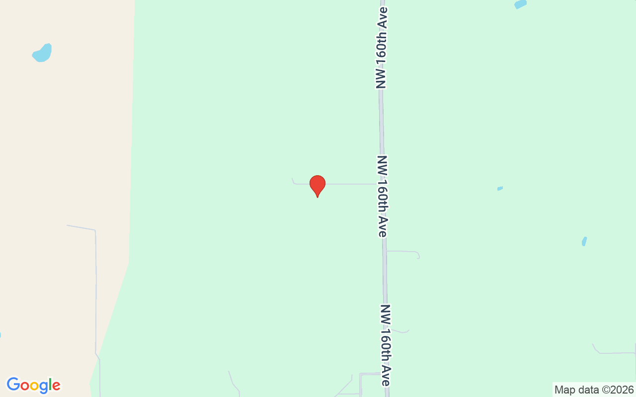 9710 160Th Avenue Nw, Morriston, FL 32668