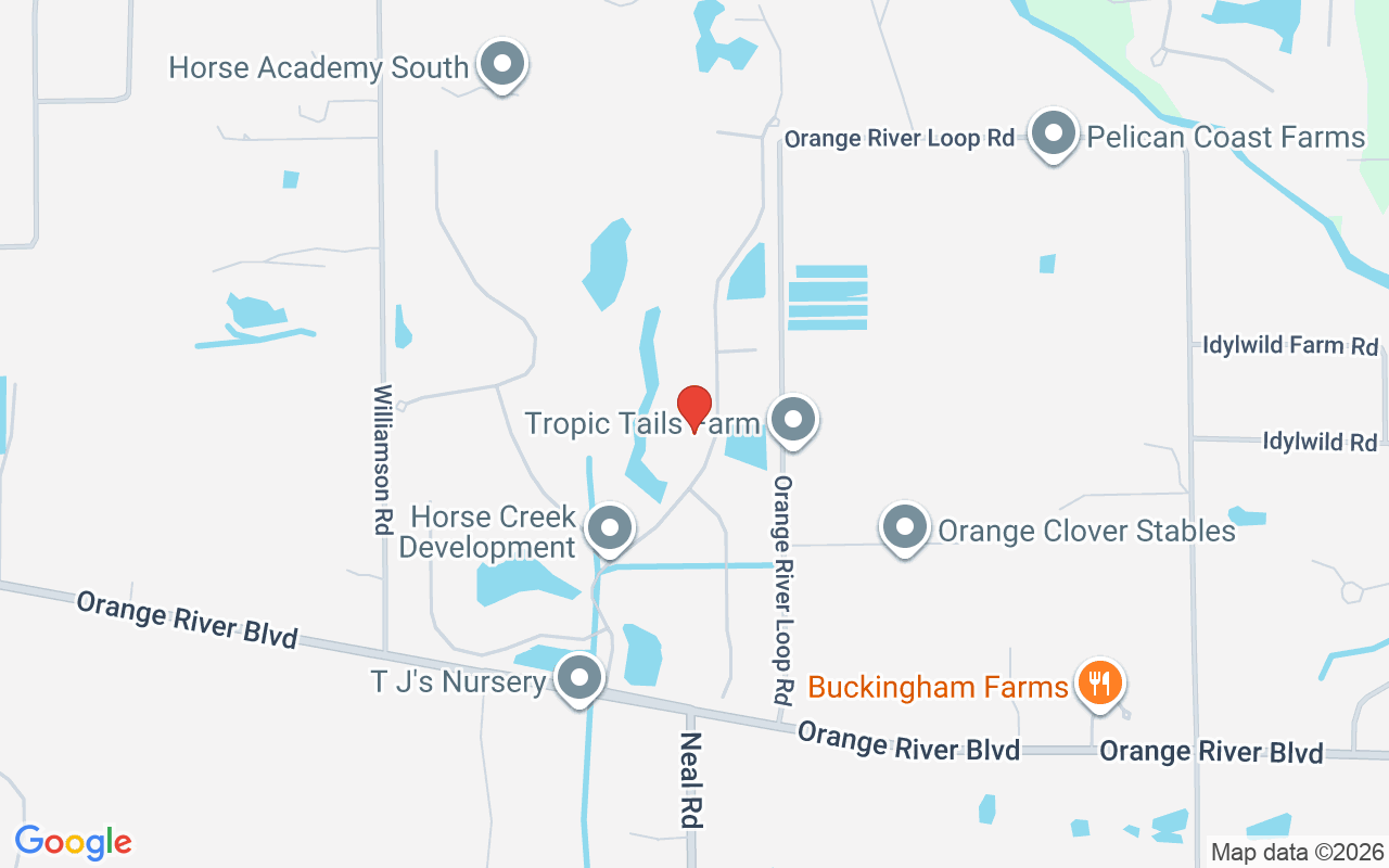 4360 Horse Creek Blvd, Fort Myers, FL 33905