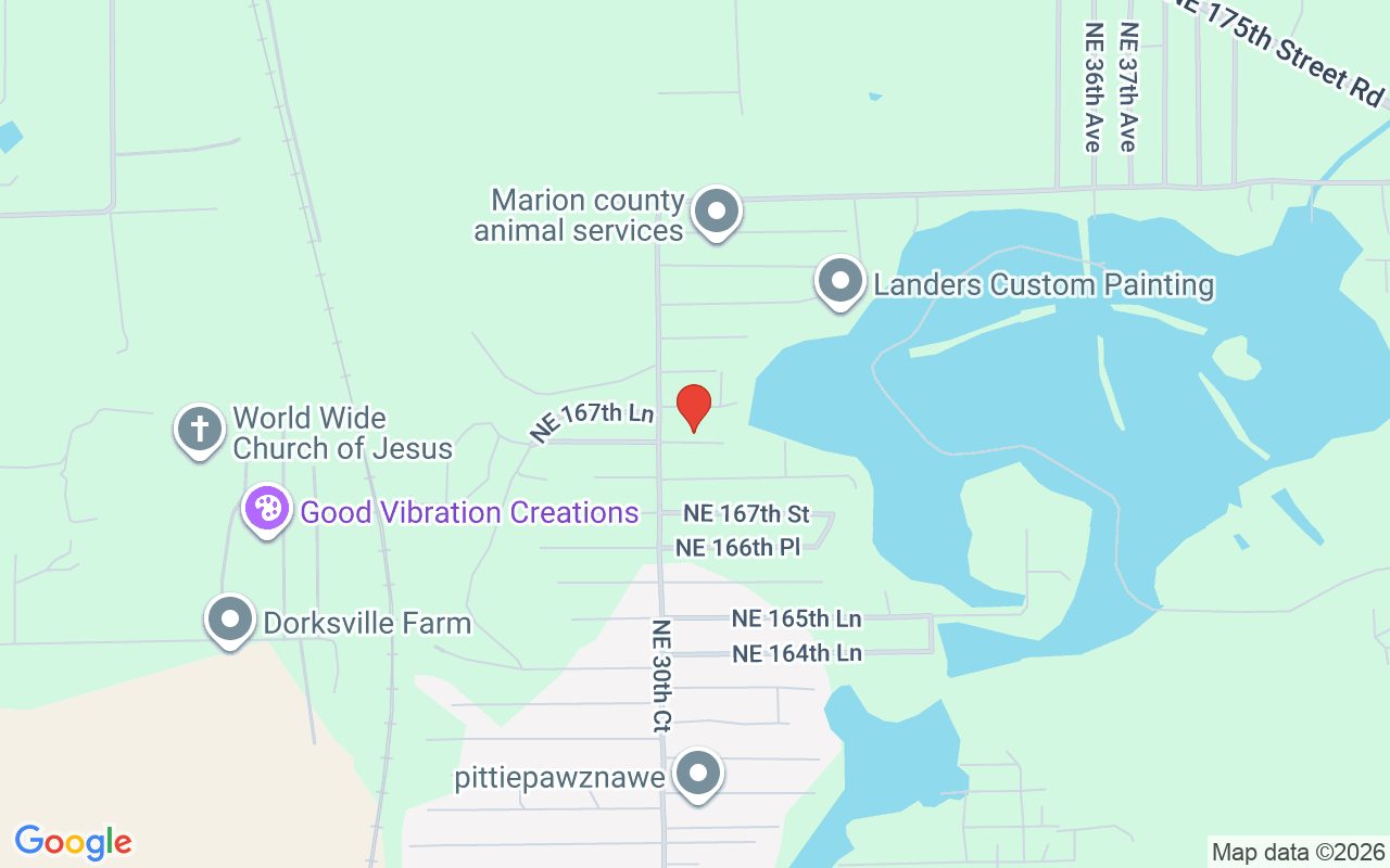 3111 167Th Place Ne, Citra, FL 32113