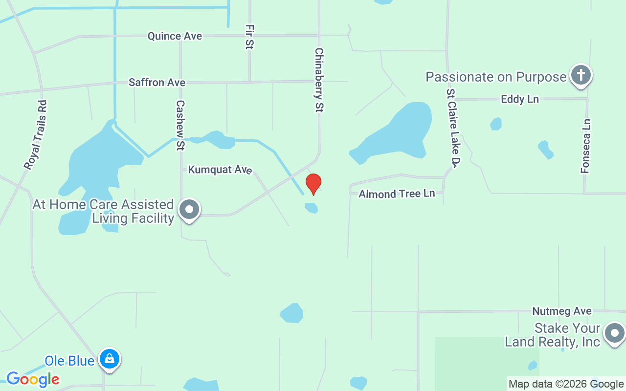 42111 Chinaberry Court, Eustis, FL 32736