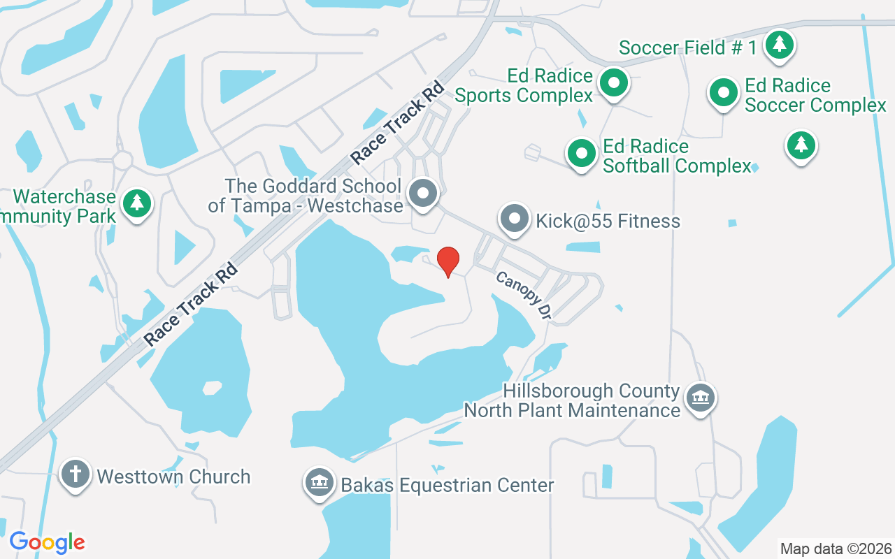 11604 Splendid Lane, Tampa, FL 33626