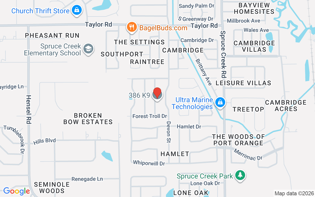 364 Bent Oak Drive, Port Orange, FL 32127