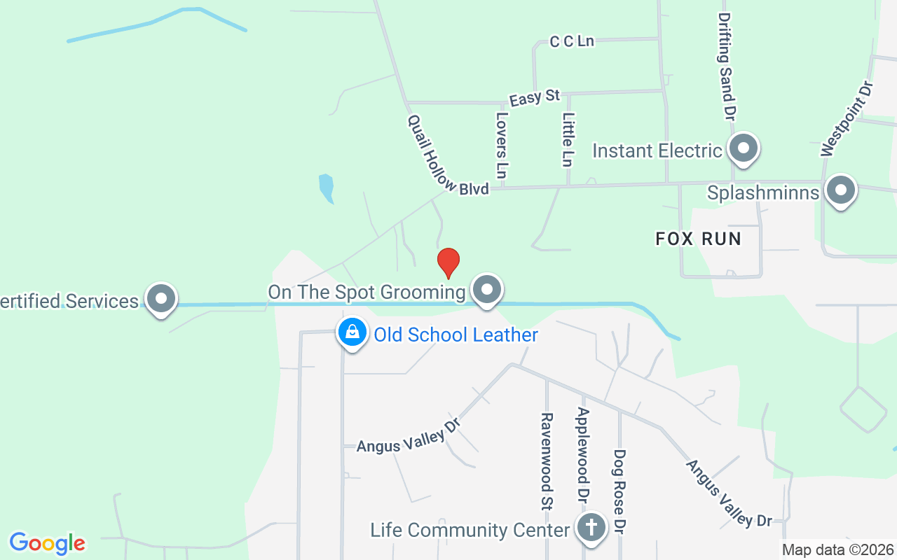 7152 Sandy Lane, Wesley Chapel, FL 33544