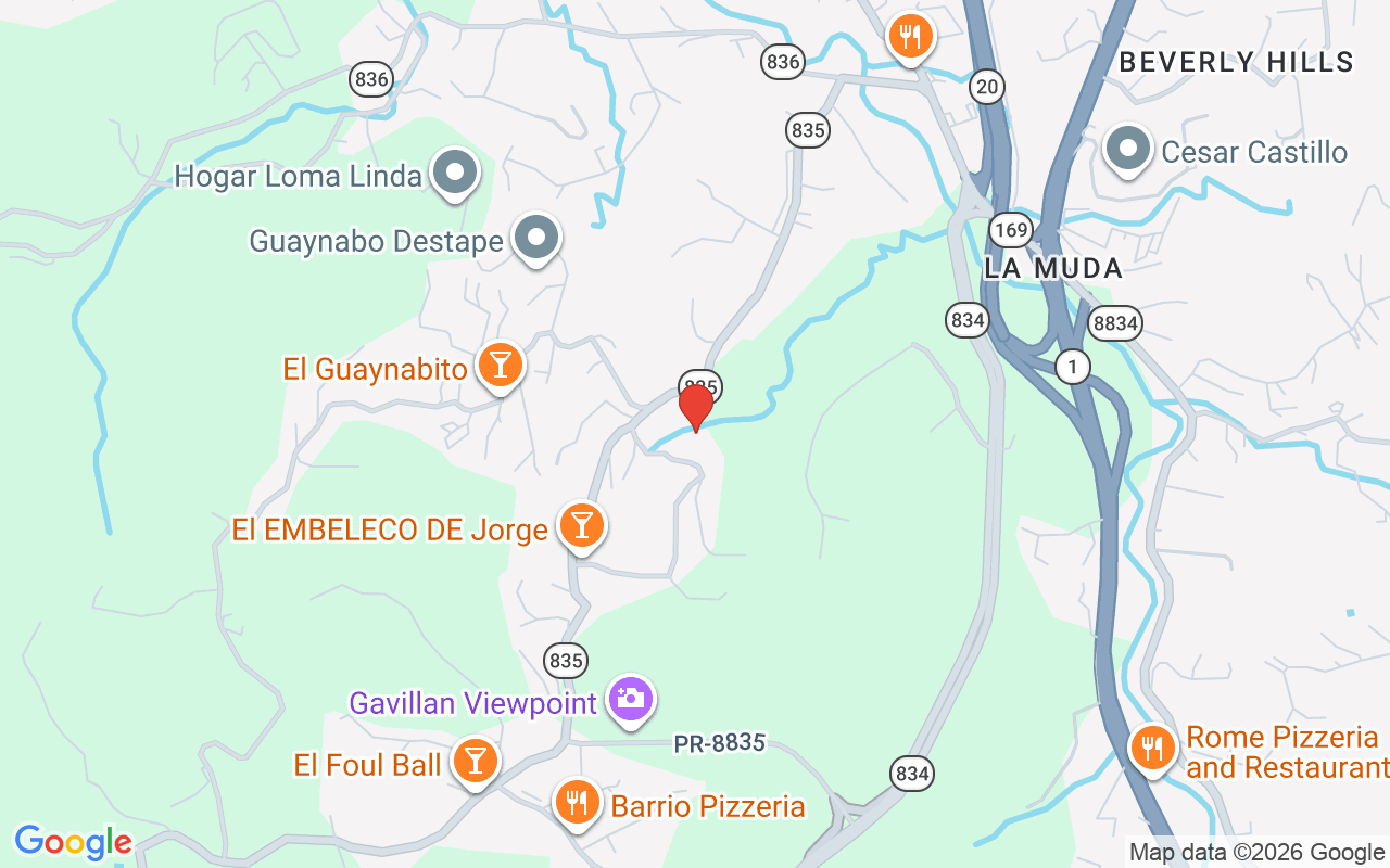 7 La Roca Street Beverly Hills, Guaynabo, PR 00965