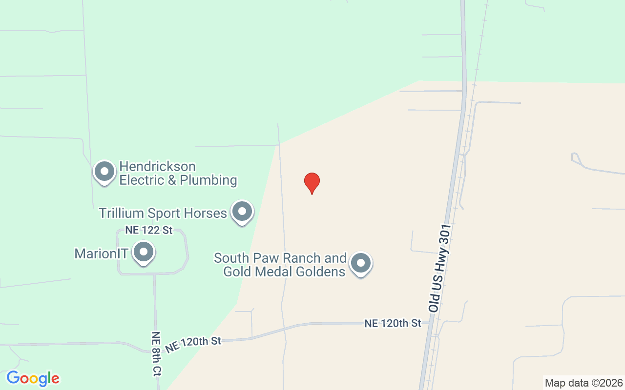 12345 14Th Avenue Ne, Anthony, FL 32617