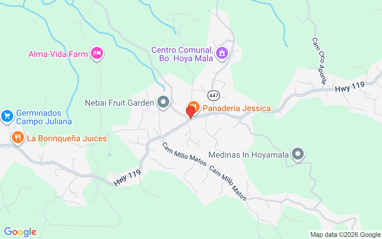 Pr-119 Km 31.5 Interior Hoyamala Ward, Las Toscas Sector, San Sebastian, PR 00685