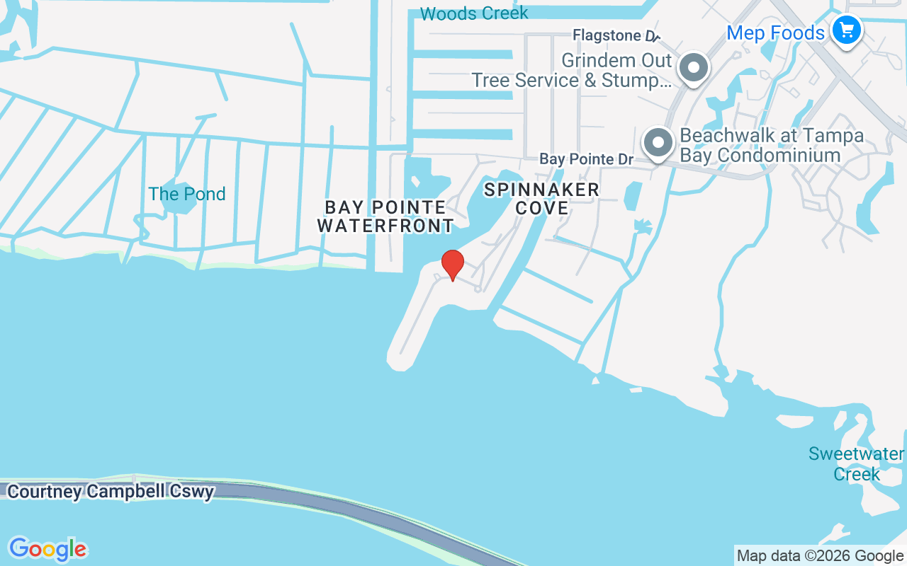 4133 Causeway Vista Drive, Tampa, FL 33615