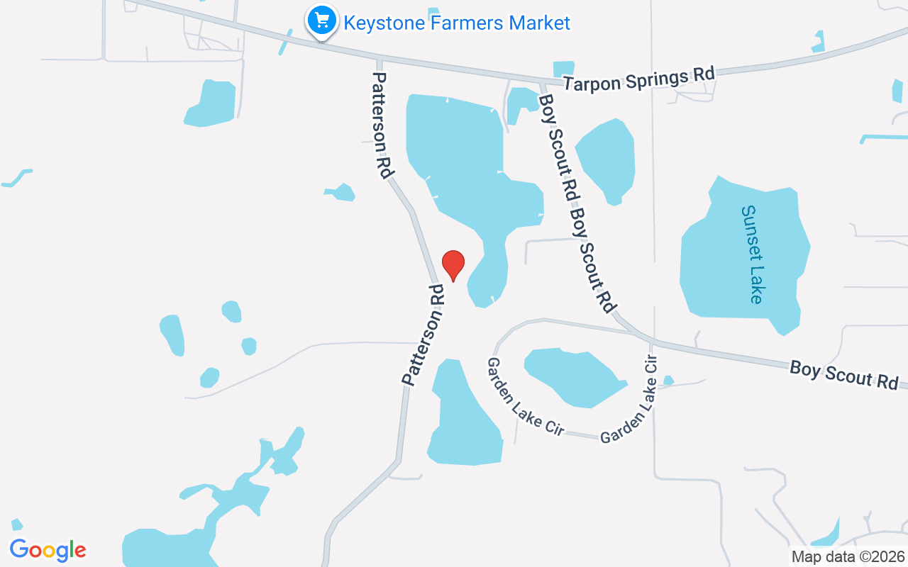 17925 Patterson Road, Odessa, FL 33556