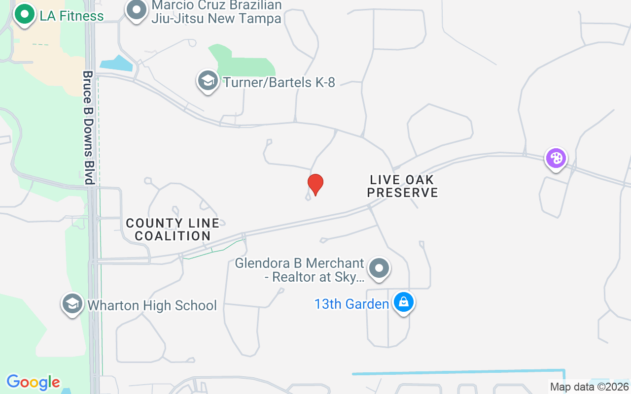 20407 Sultana Court, Tampa, FL 33647