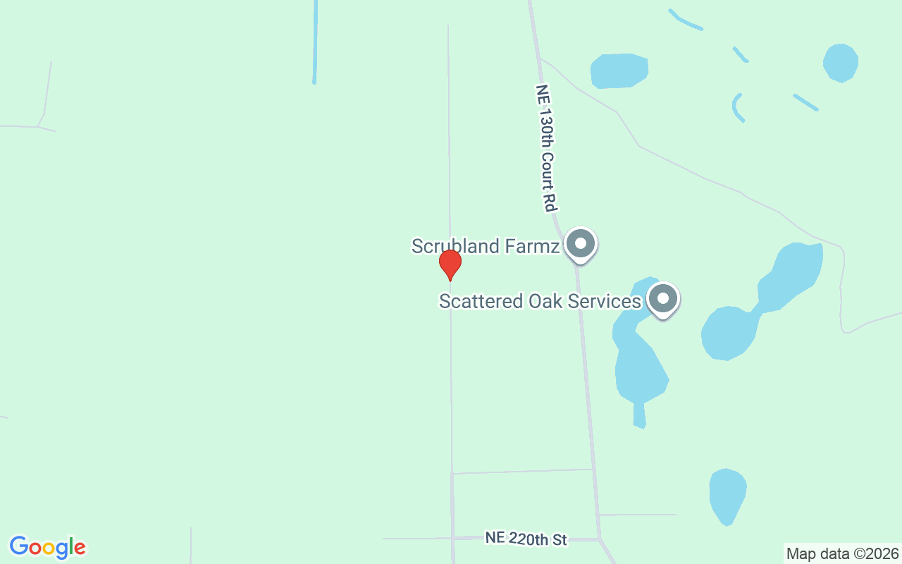 24839 130Th Street Ne, Fort Mc Coy, FL 32134