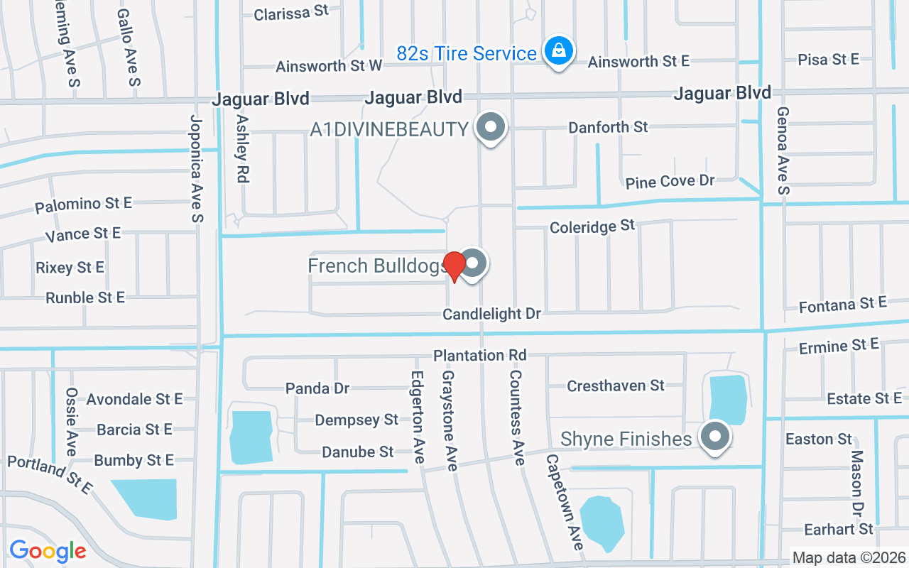 857 Bedford Dr, Lehigh Acres, FL 33974