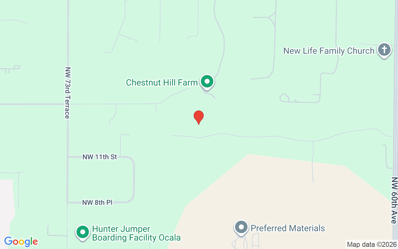 6853 12Th Street Nw, Ocala, FL 34482