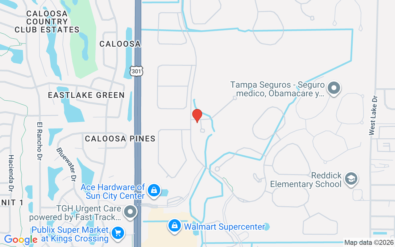 16301 Garnet Glen Place, Wimauma, FL 33598