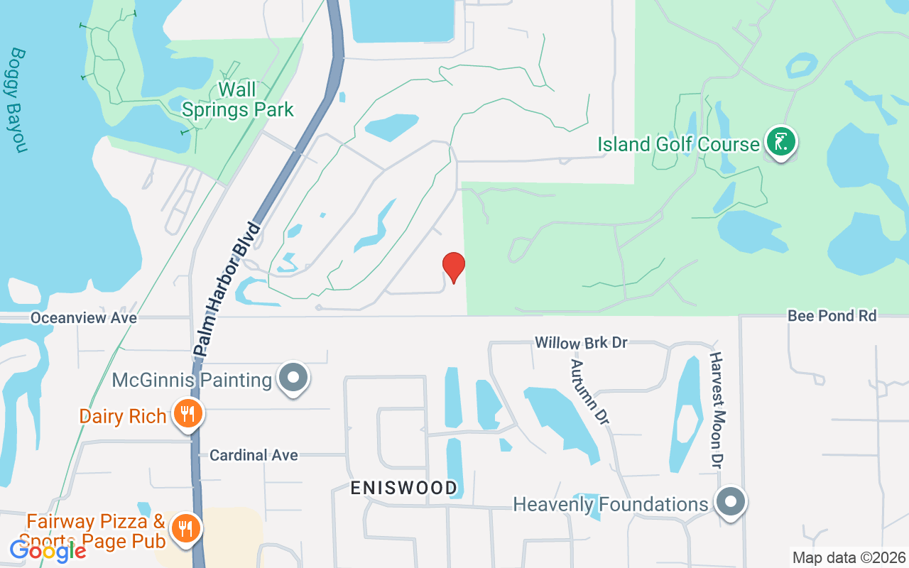 1066 Roundstone Place, Palm Harbor, FL 34683