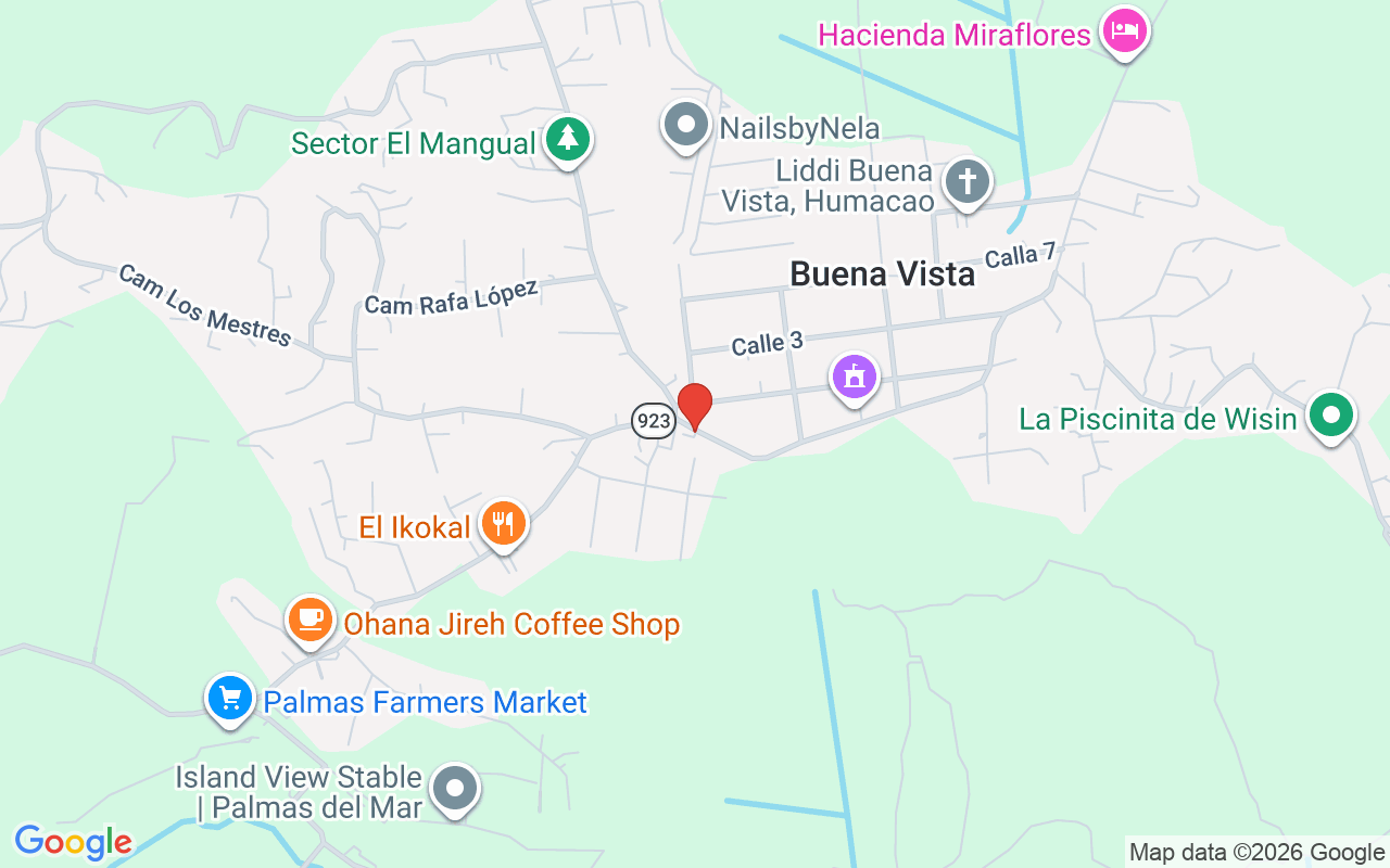 103A Chalets De Las Palmas #103A, Humacao, PR 00791