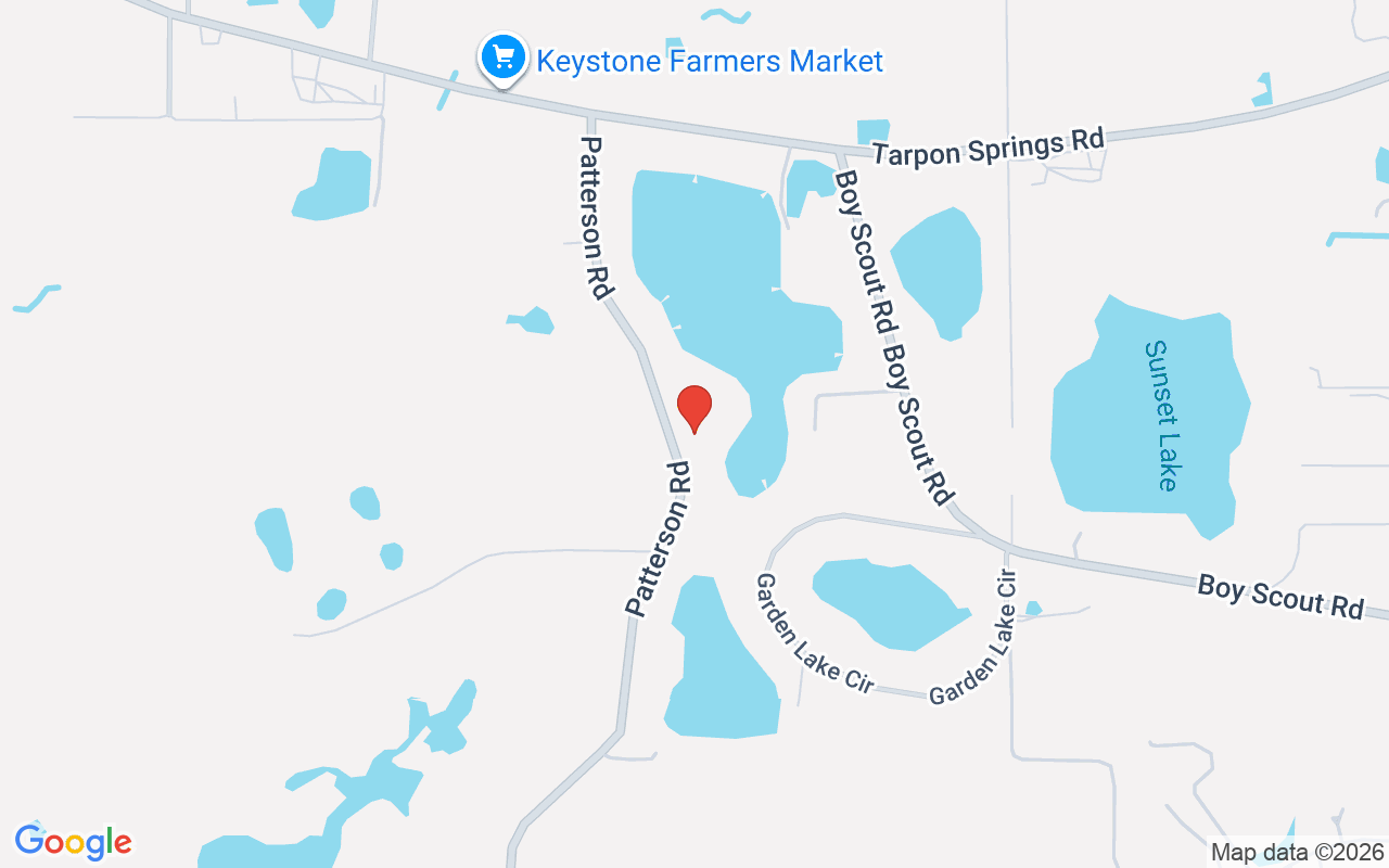 17933 Patterson Road, Odessa, FL 33556