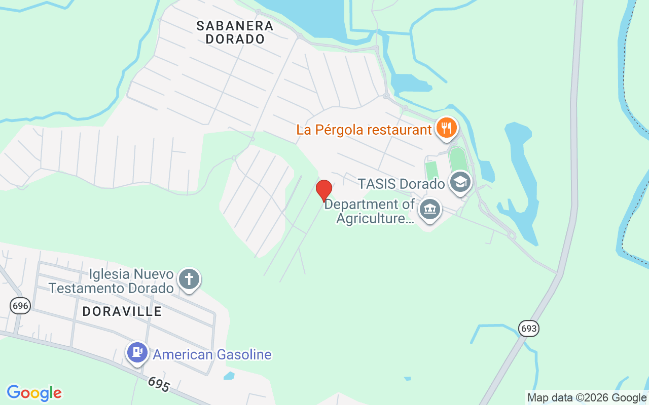 804 Camino De Las Verbenas, Dorado, PR 00646