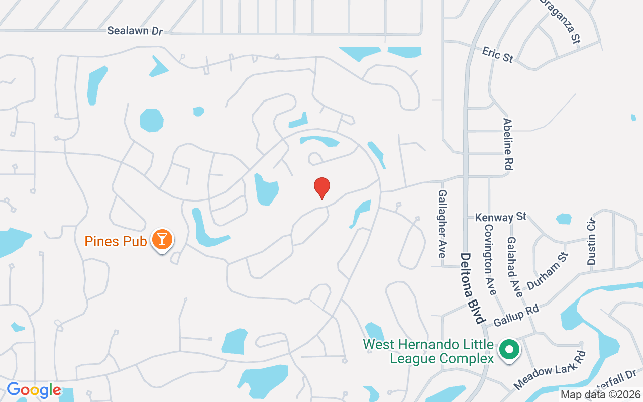 8157 Hidden Hills Drive, Spring Hills , FL 34606