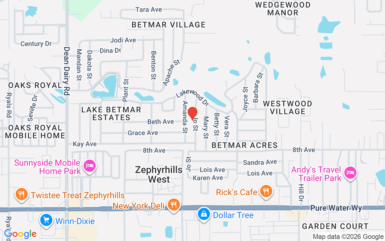 5339 Jo Street, Zephyrhills, FL 33542