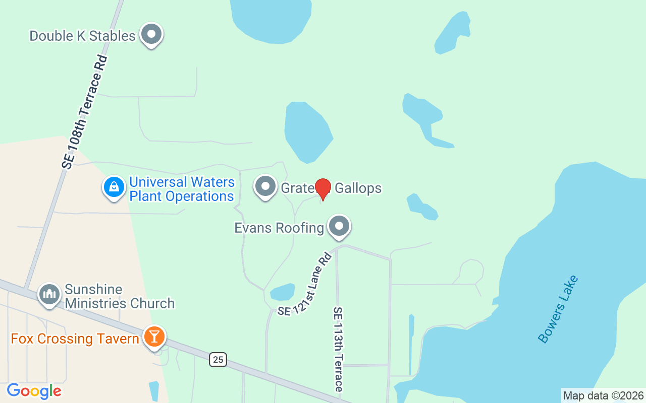 12029 112Th Avenue Road Se, Belleview, FL 34420