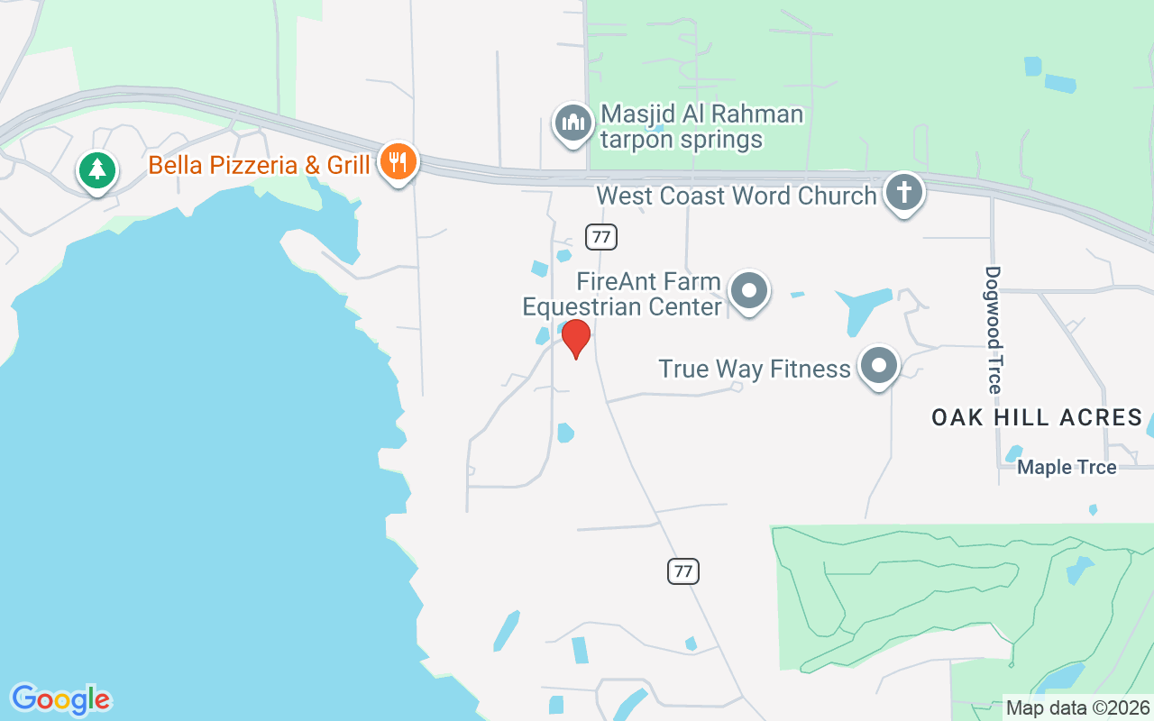 211 Rue Des Chateaux, Tarpon Springs, FL 34688