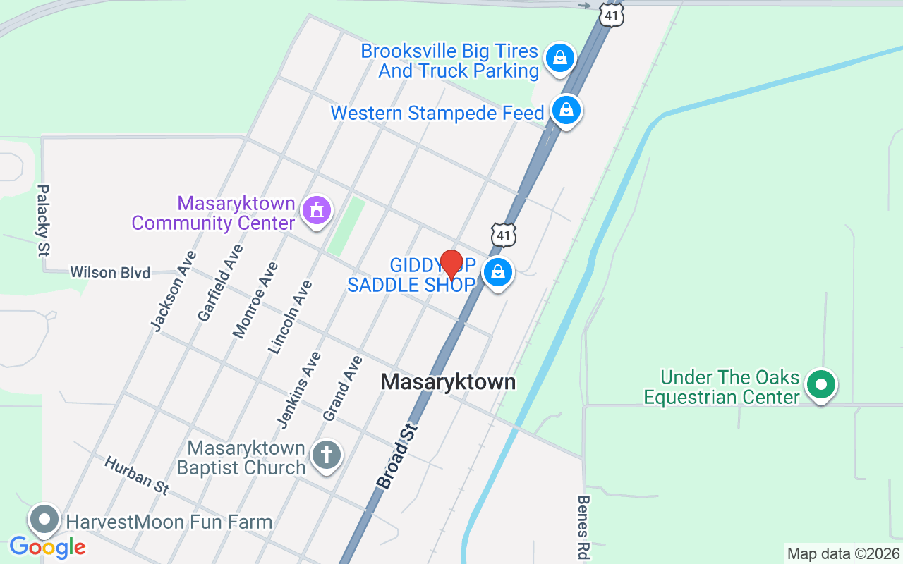 506 Roosevelt Avenue, Masaryktown, FL 34604