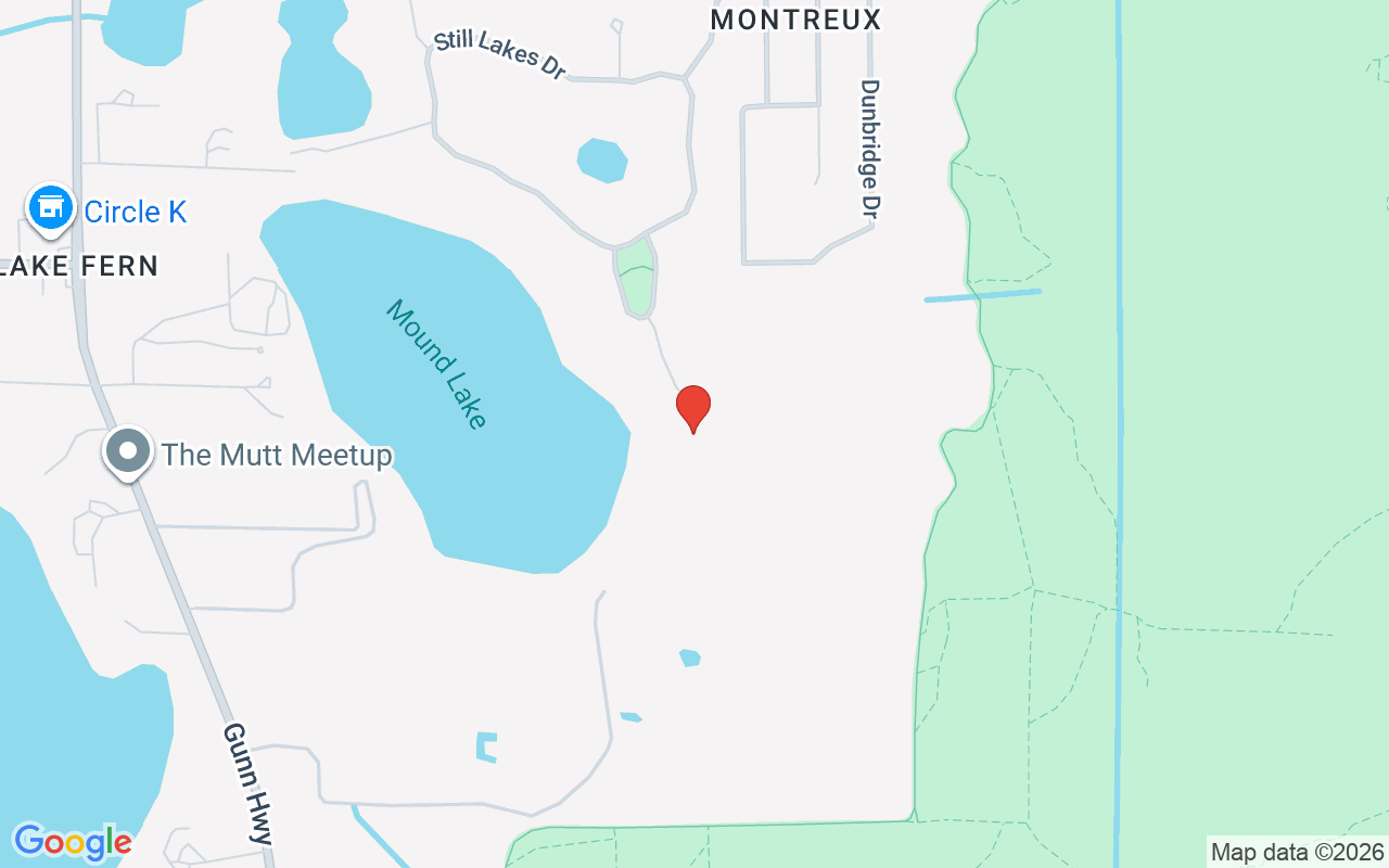 18901 Lakes Edge Way, Odessa, FL 33556