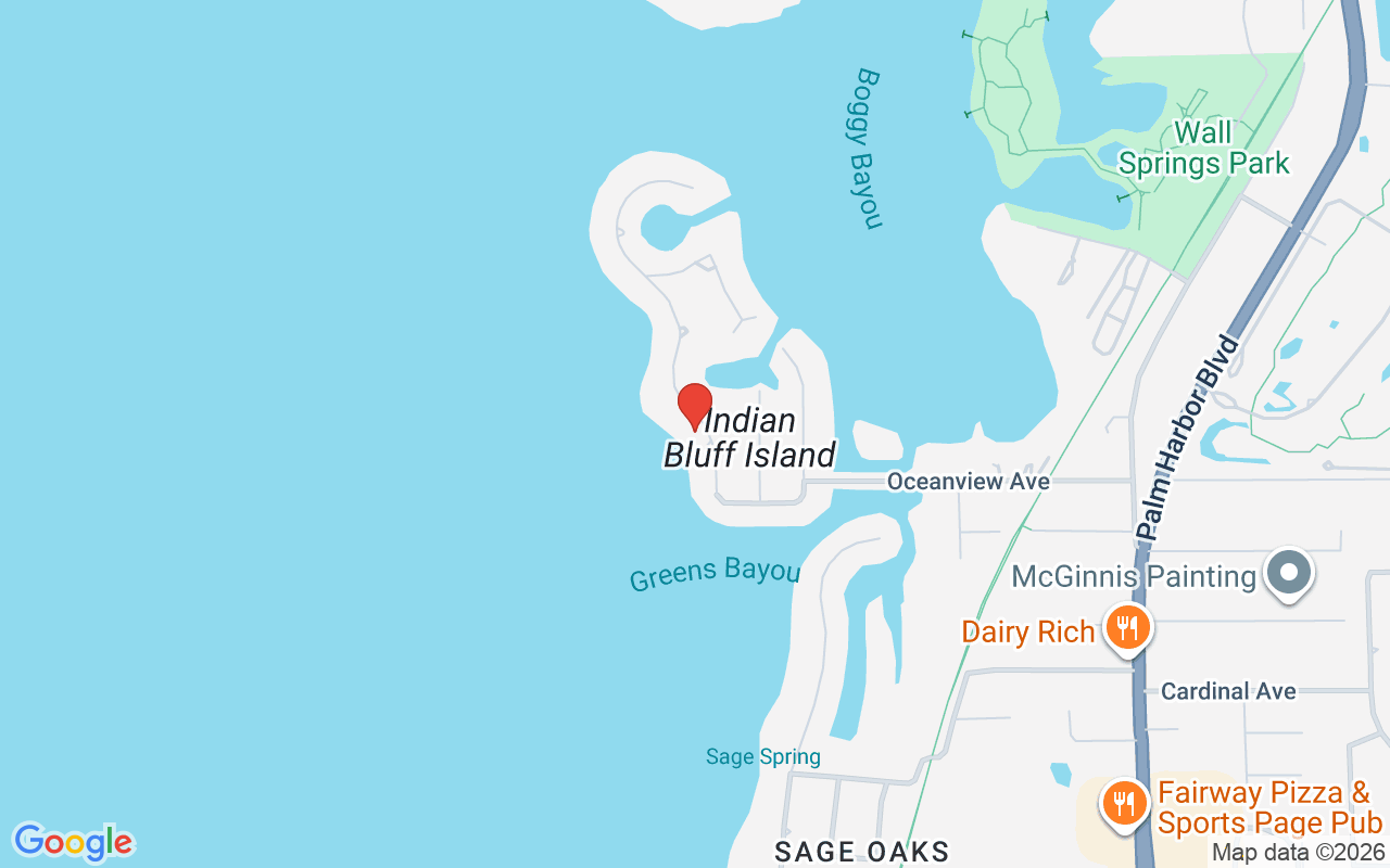 110 Carlyle Drive, Palm Harbor, FL 34683