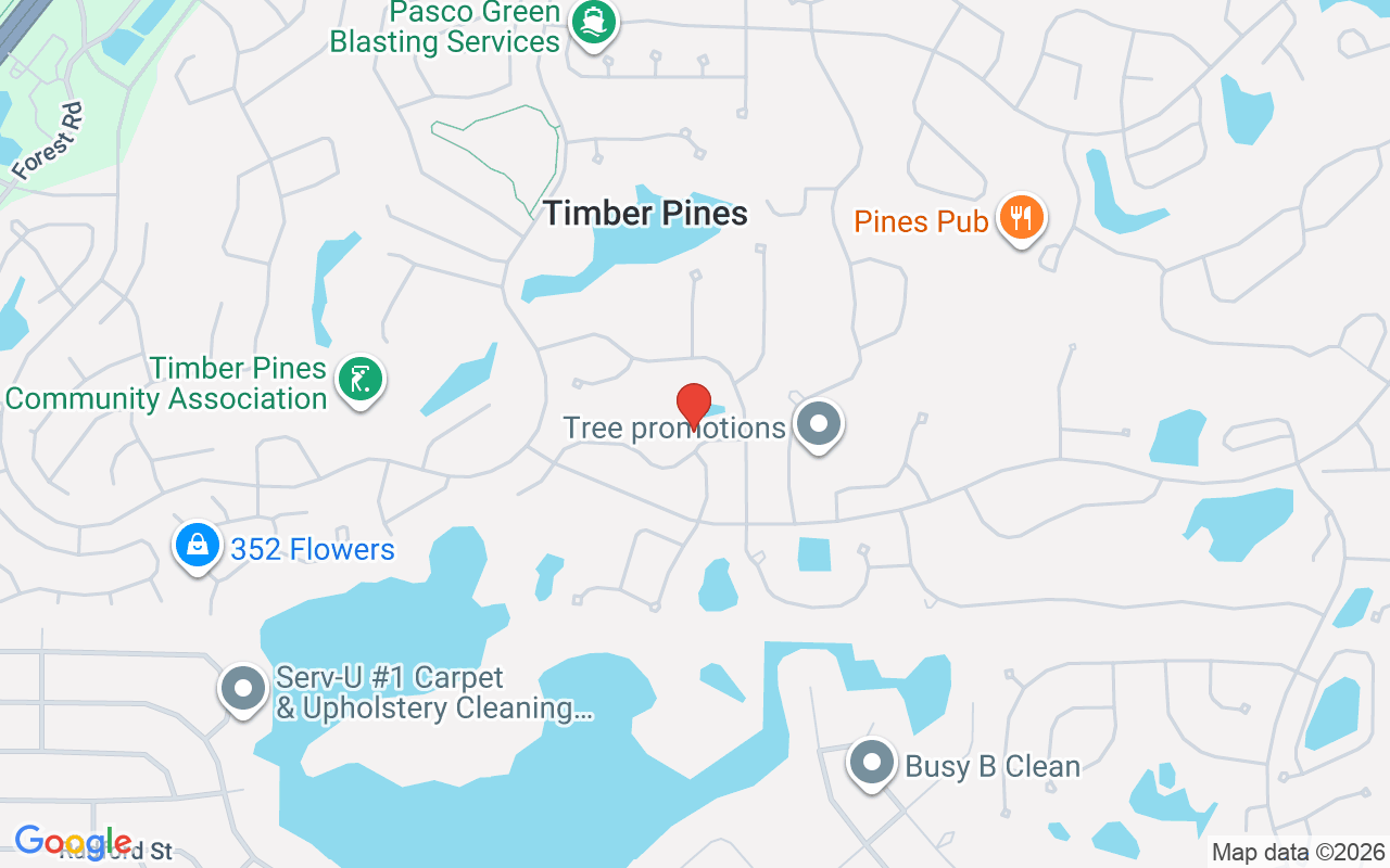 7167 Crown Oaks Dr, Spring Hill, FL 34606