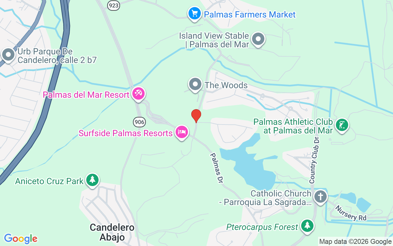 Costa Verde Academy Drive #1, Humacao, PR 00791