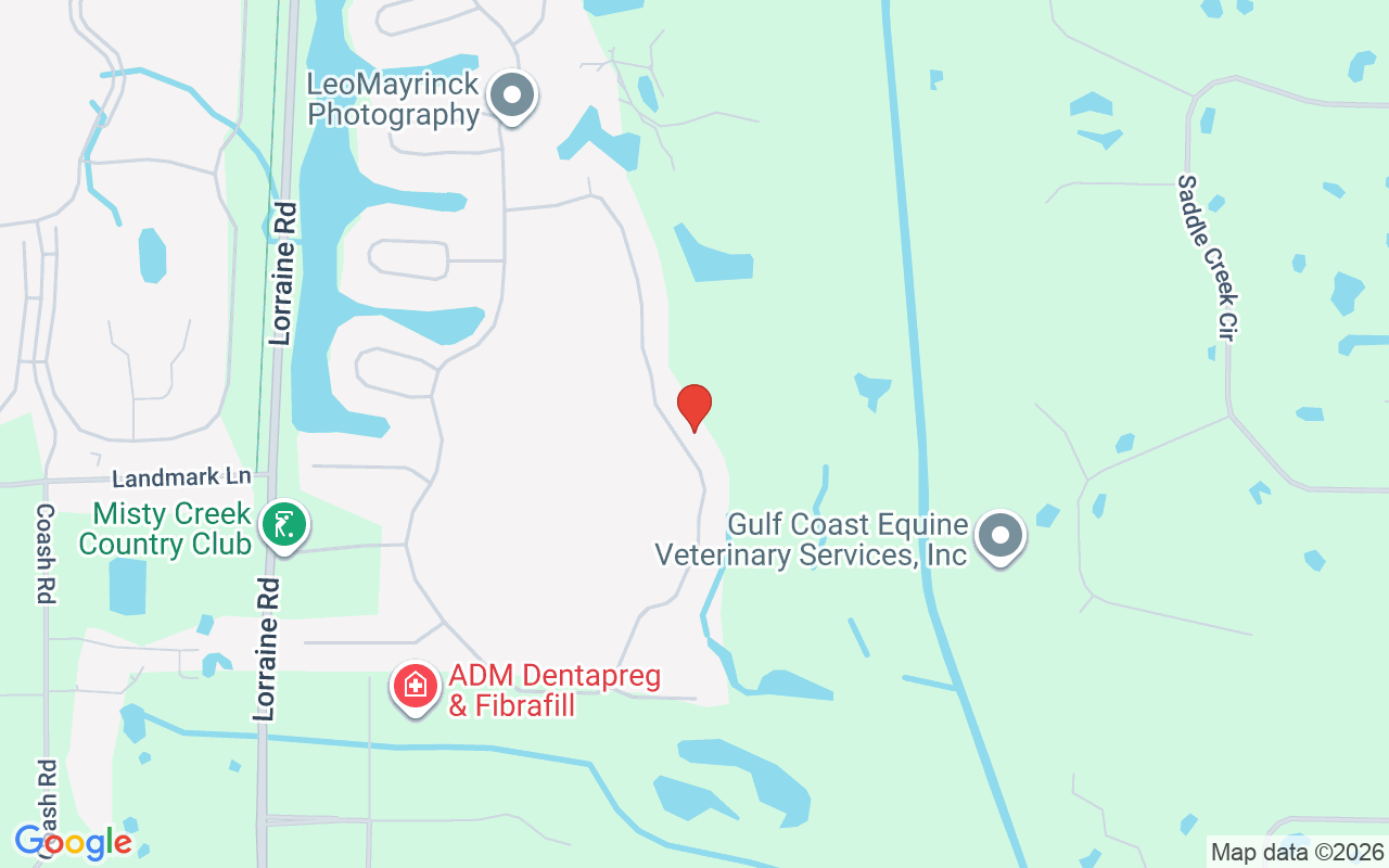 8489 Eagle Preserve Way, Sarasota, FL 34241