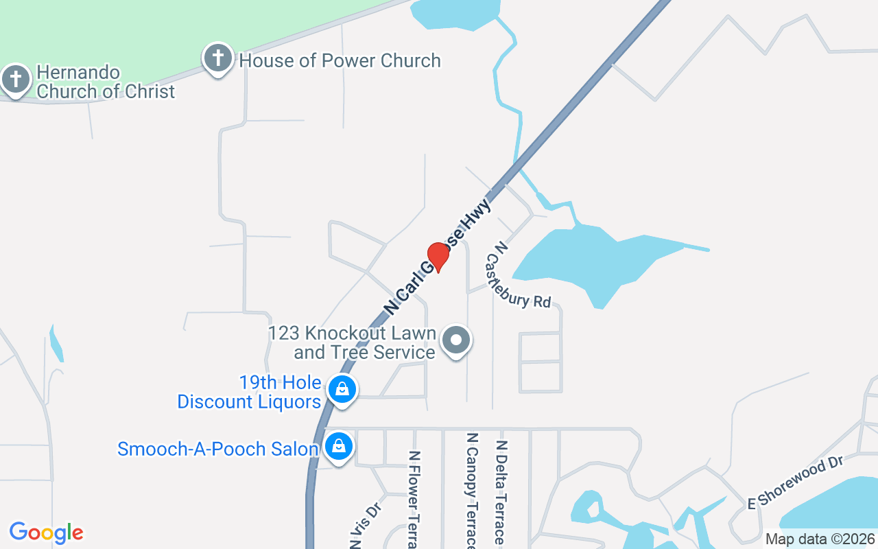 6973 Carl G Rose Hwy  N, Hernando, FL 34442