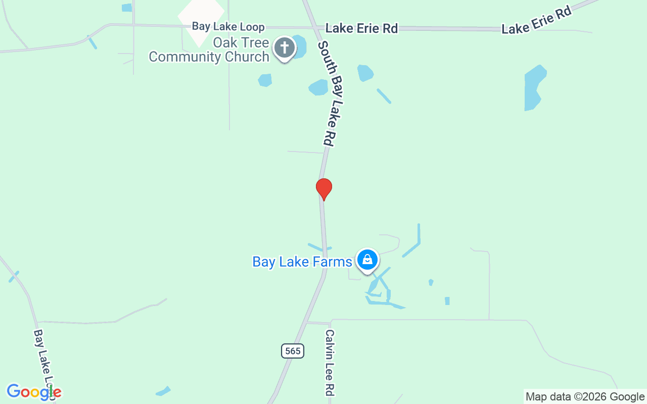 8515 Bay Lake Road, Groveland, FL 34736
