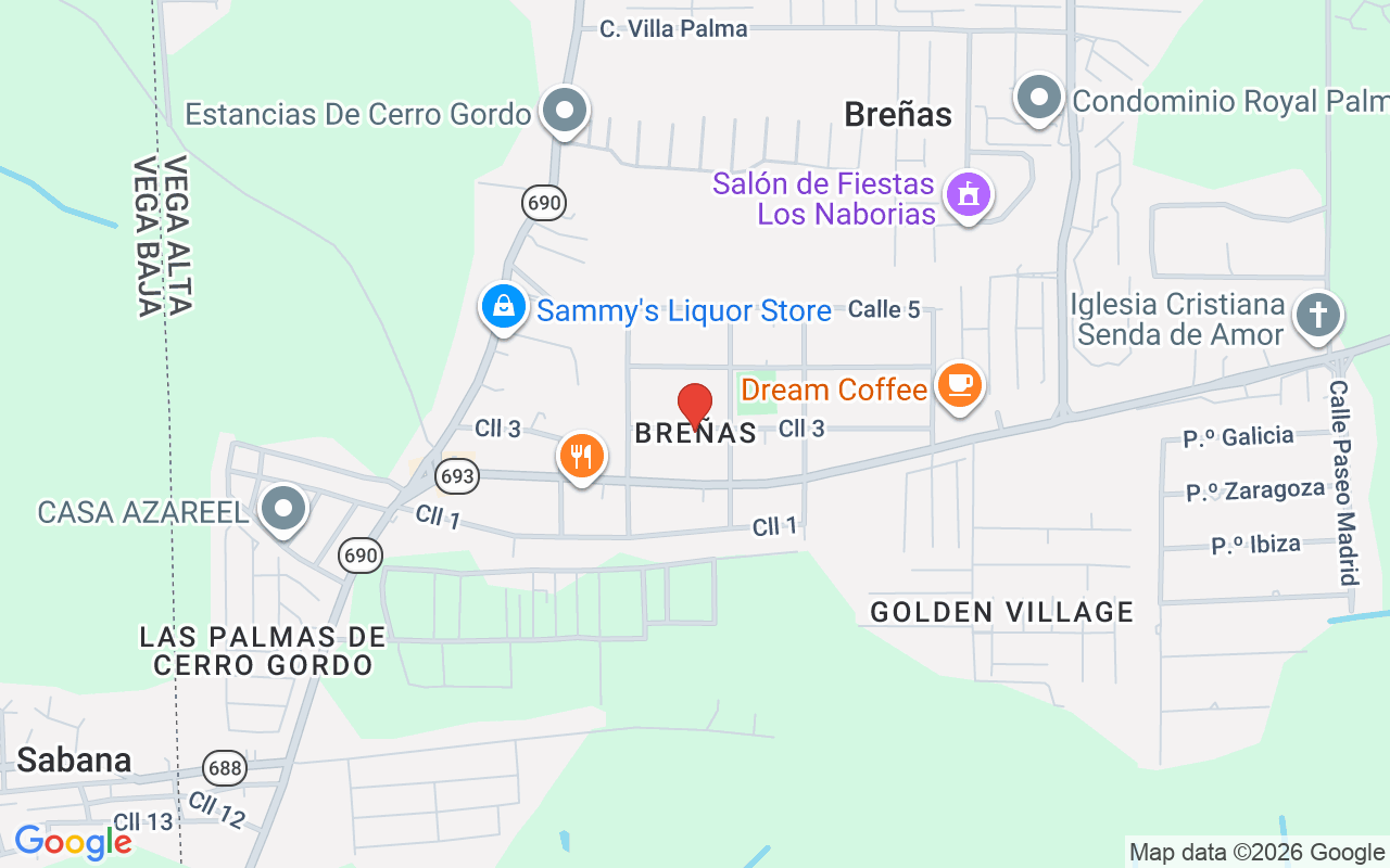 Lot 6 Sr 690 Km 55 Brenas Sector Sabana, Vega Alta, PR 00692