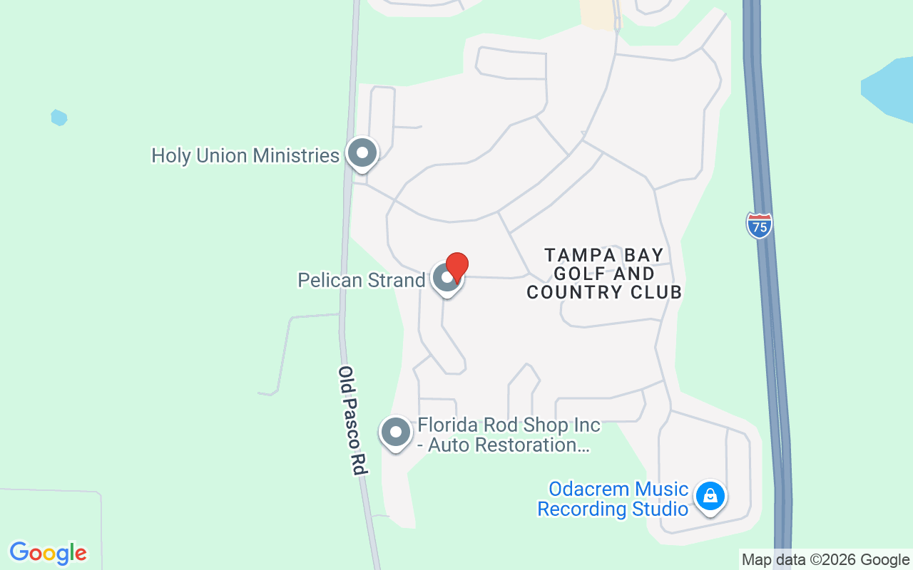 29290 Grass Bunker Drive, San Antonio, FL 33576