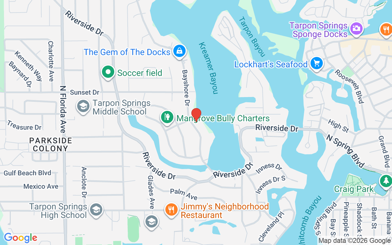 636 Bayshore Drive, Tarpon Springs, FL 34689