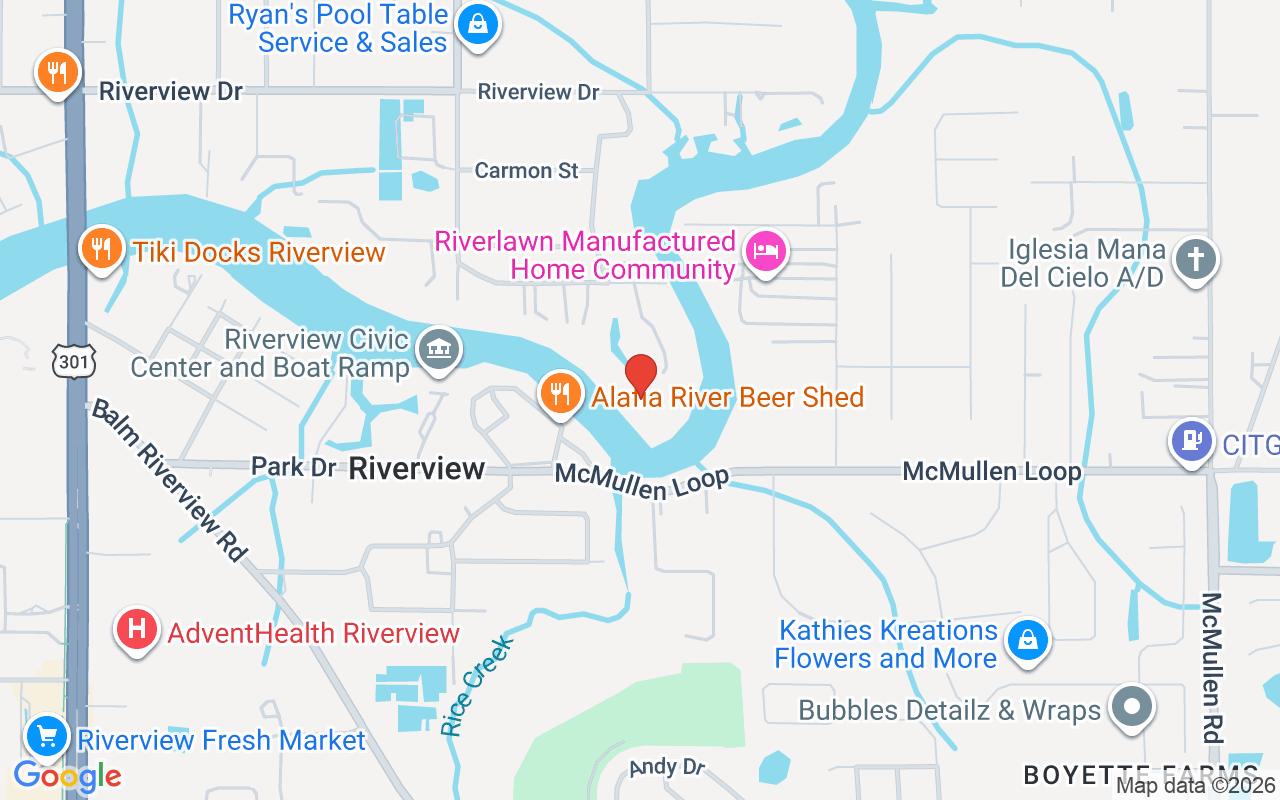 8317 Alafia Pointe Drive, Riverview, FL 33578