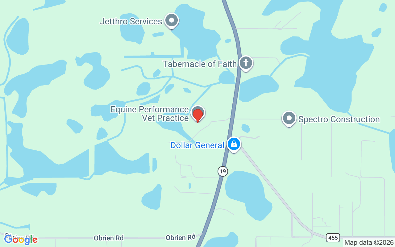 10310 Gopher Road, Howey In The Hills, FL 34737