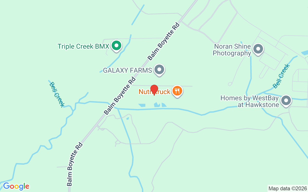 13717 Canterfield Drive, Riverview, FL 33579