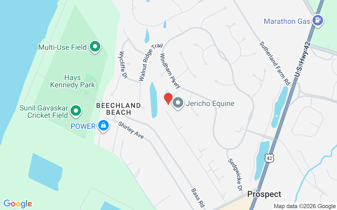 7303 Blakemore Ct, Prospect, KY 40059